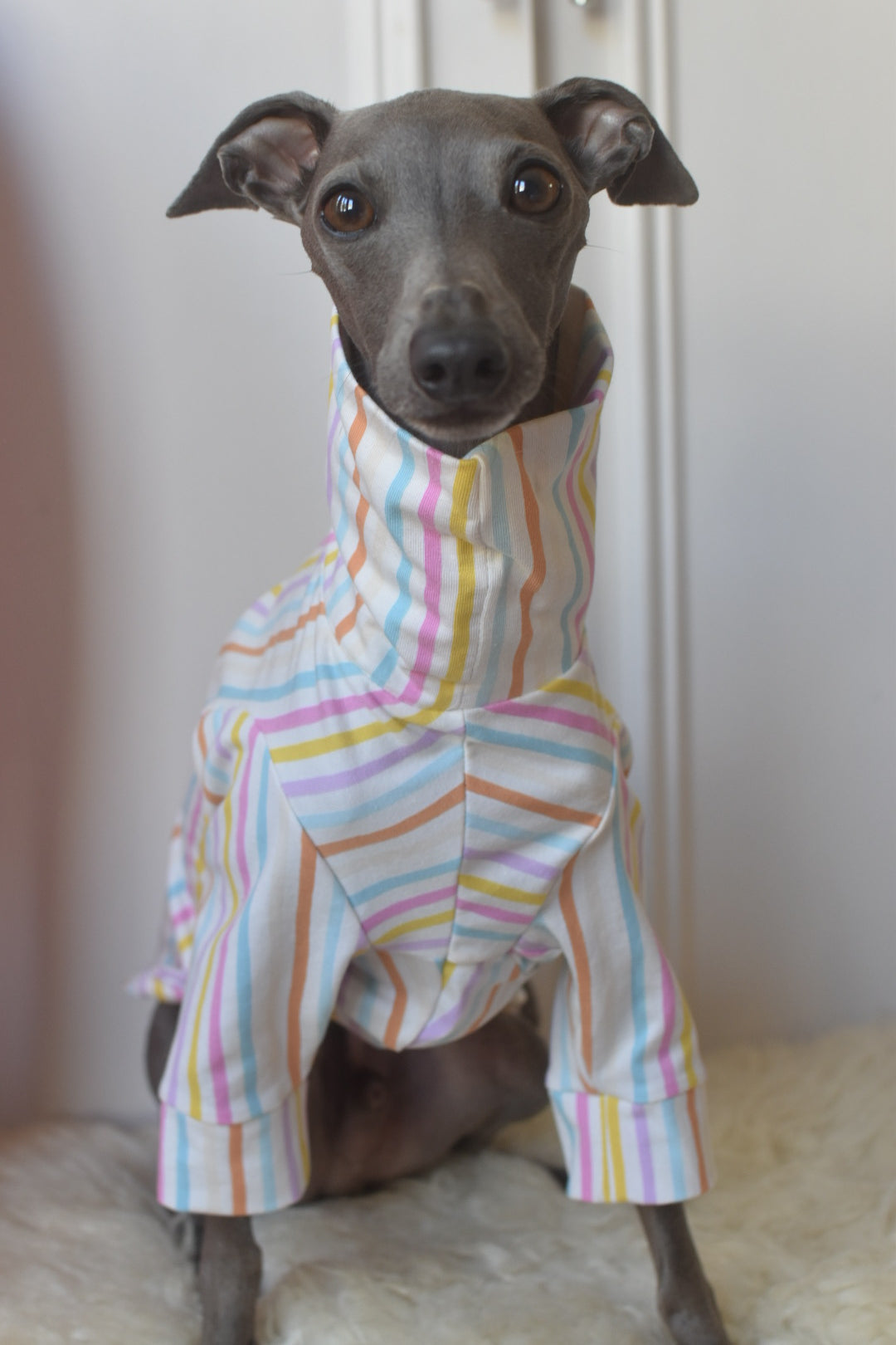 Pastel Stripe Jersey