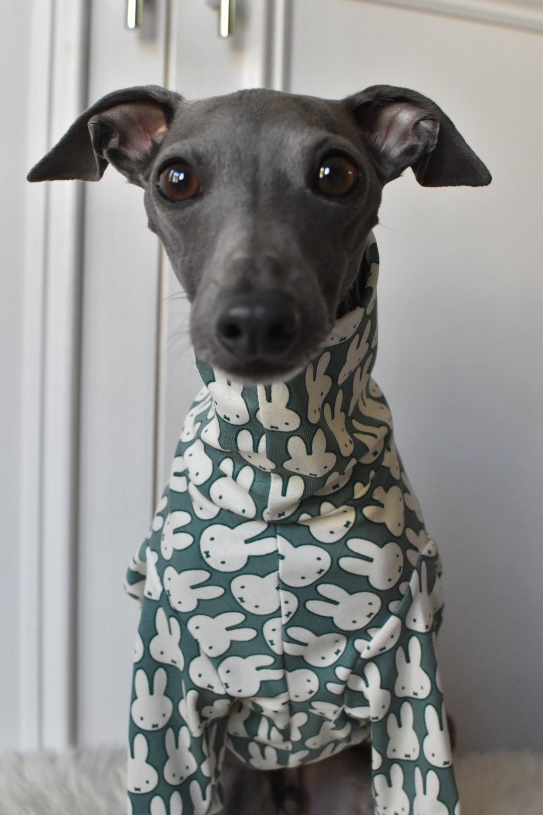 Ltd Edition Miffy Rabbit Jersey