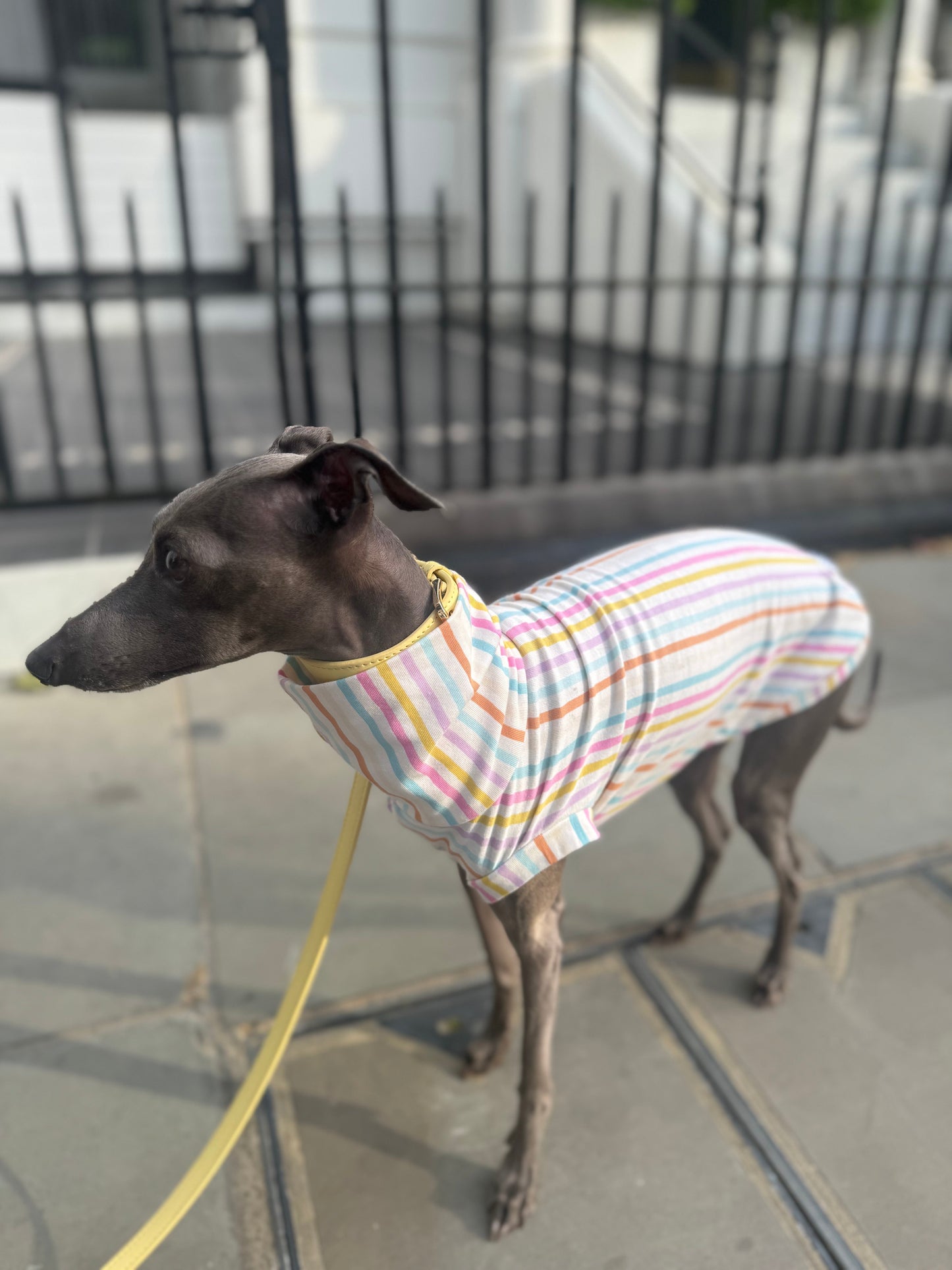 Pastel Stripe Jersey