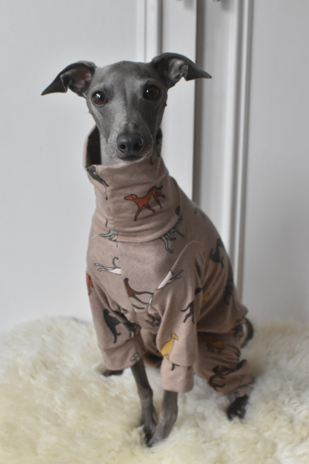 Sighthound Jersey