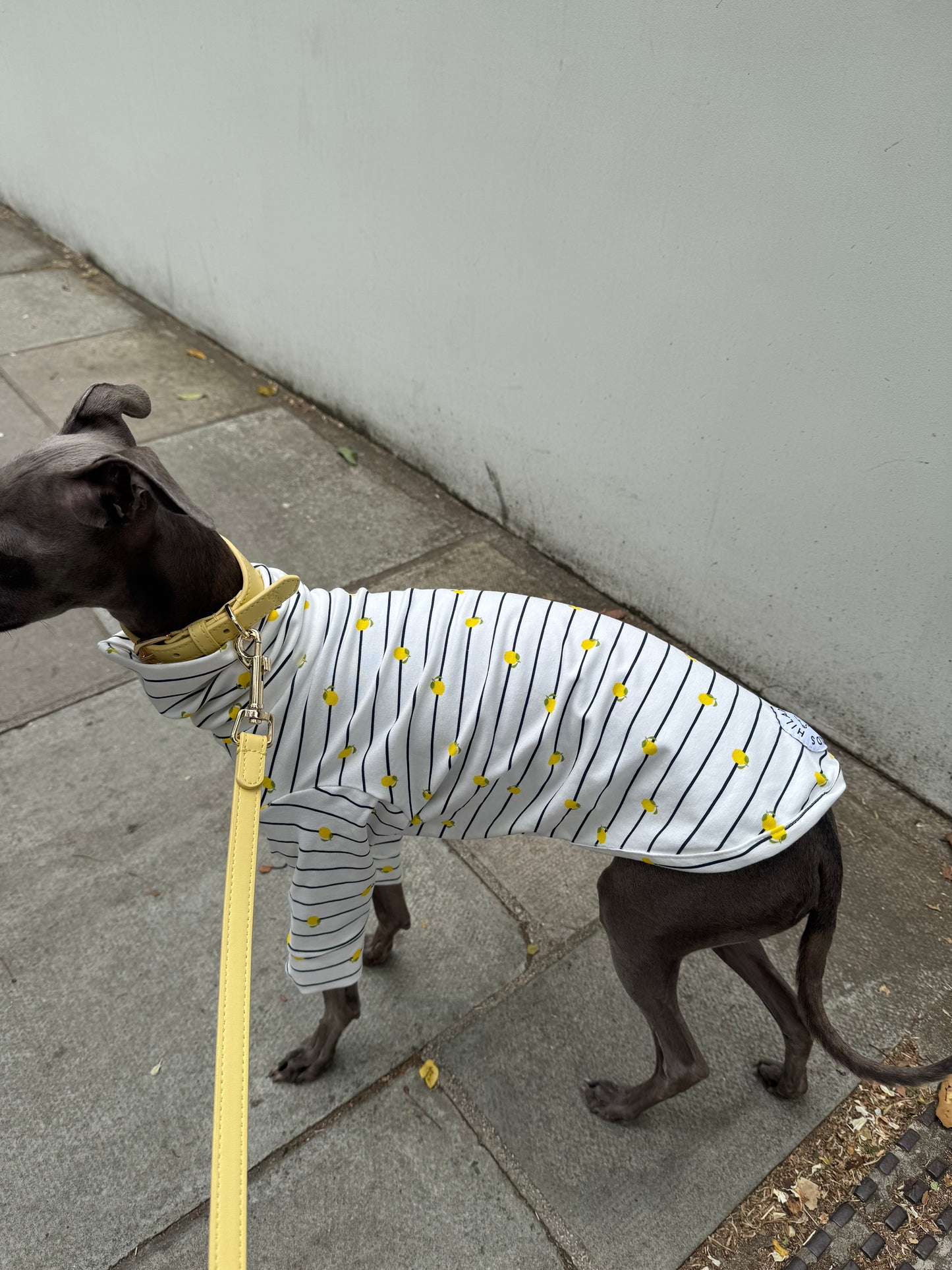 Italian Riviera- Striped Little Lemon Jersey