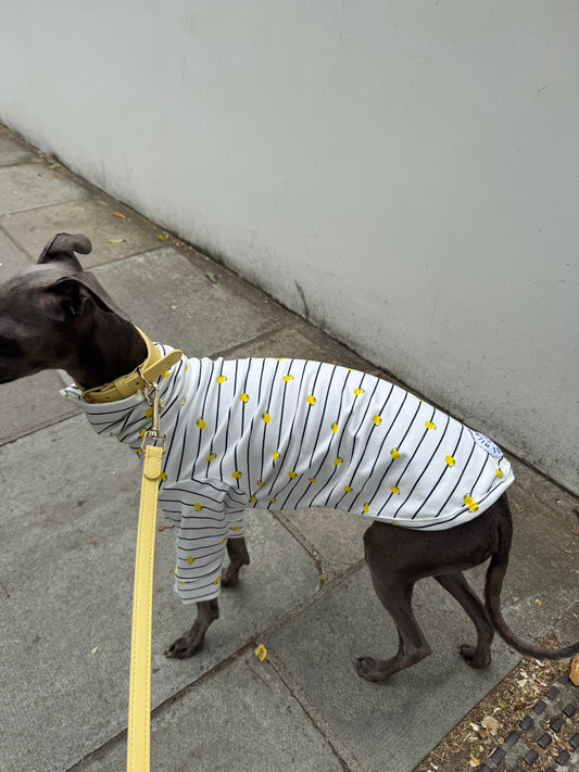 Italian Riviera- Striped Little Lemon Jersey
