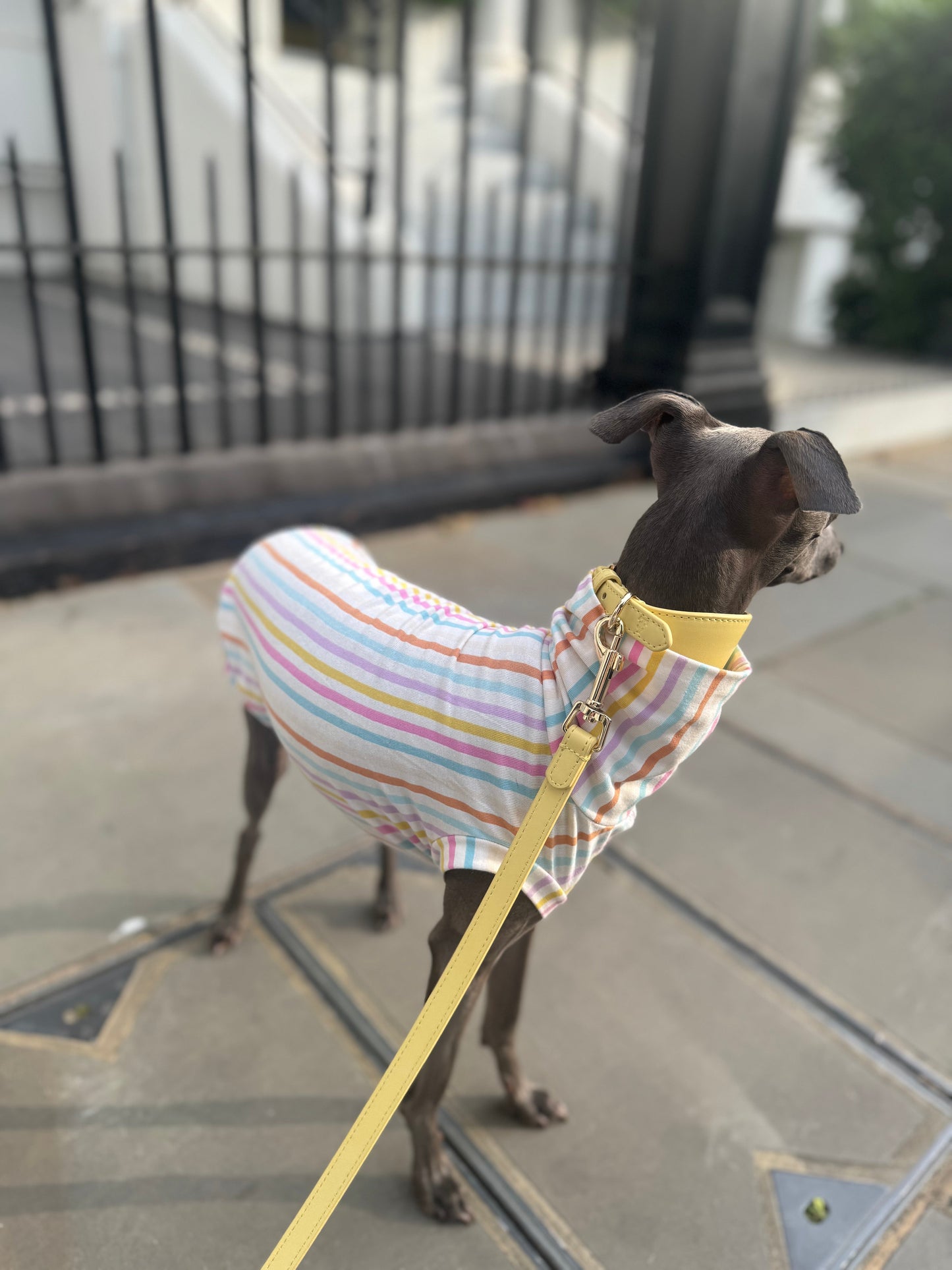 Pastel Stripe Jersey