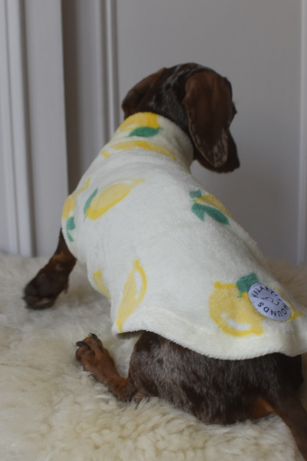 Italian Riviera- Lemon Fleece