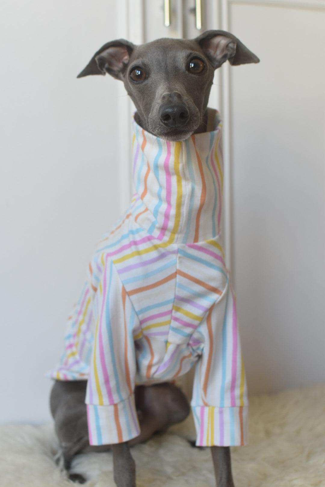 Pastel Stripe Jersey