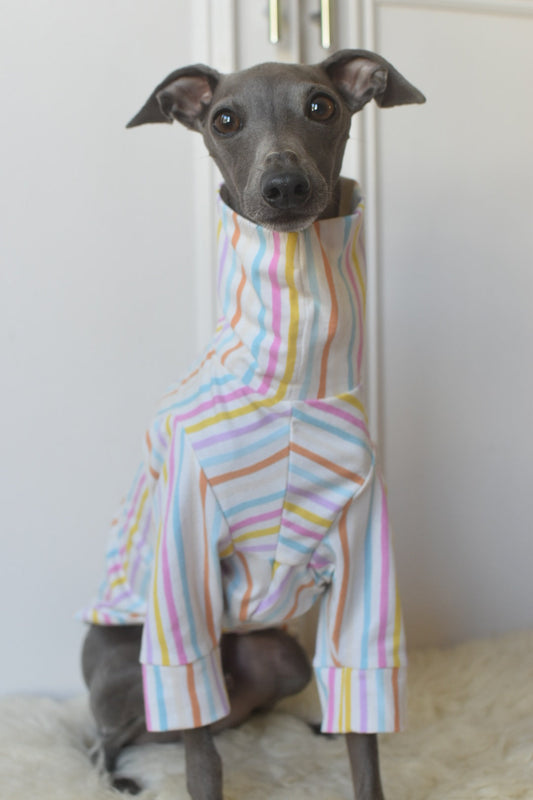 Pastel Stripe Jersey