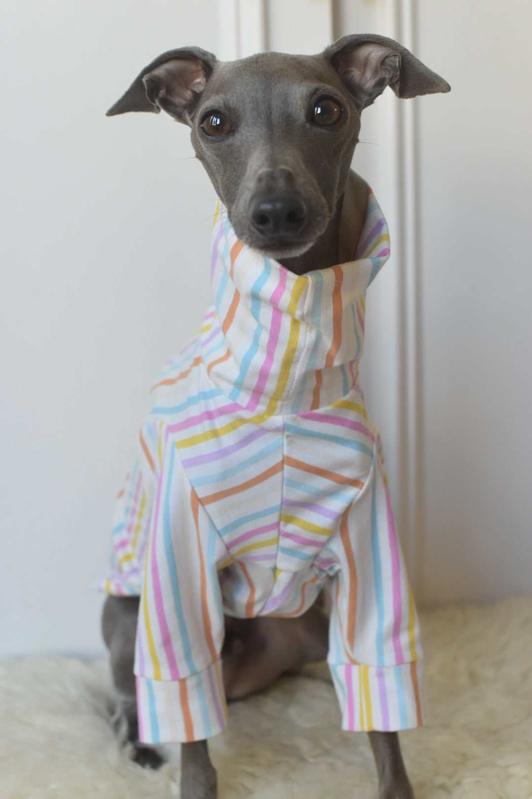 Pastel Stripe Jersey