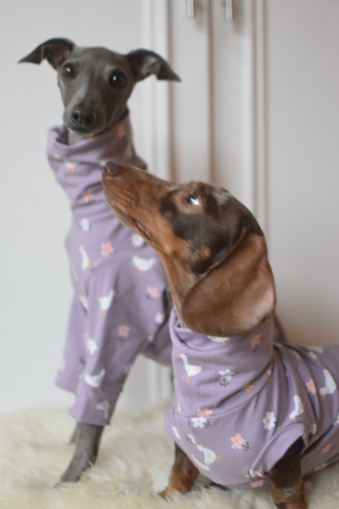 Silly Goose Lilac Jersey