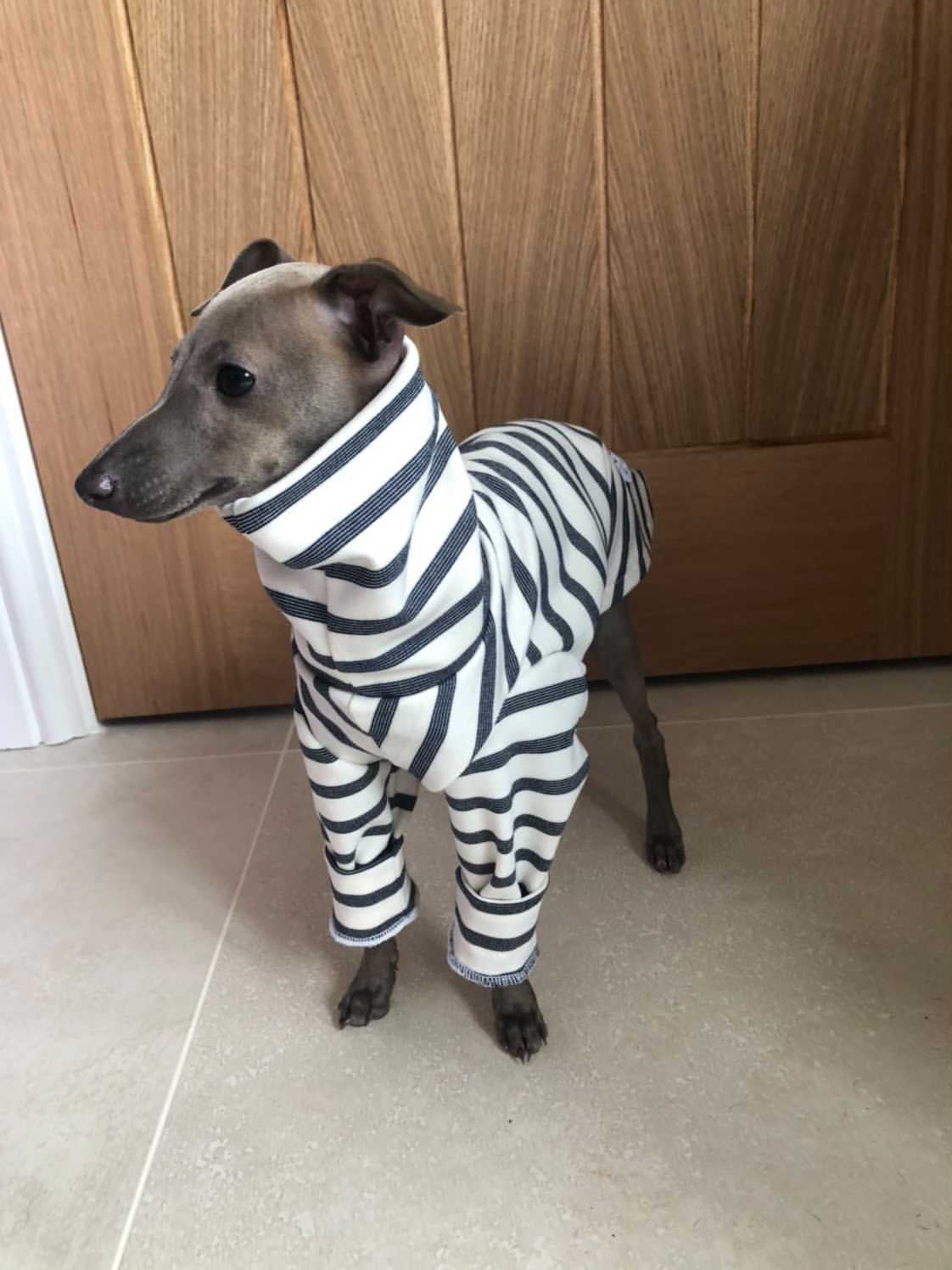 Classic Breton Jersey