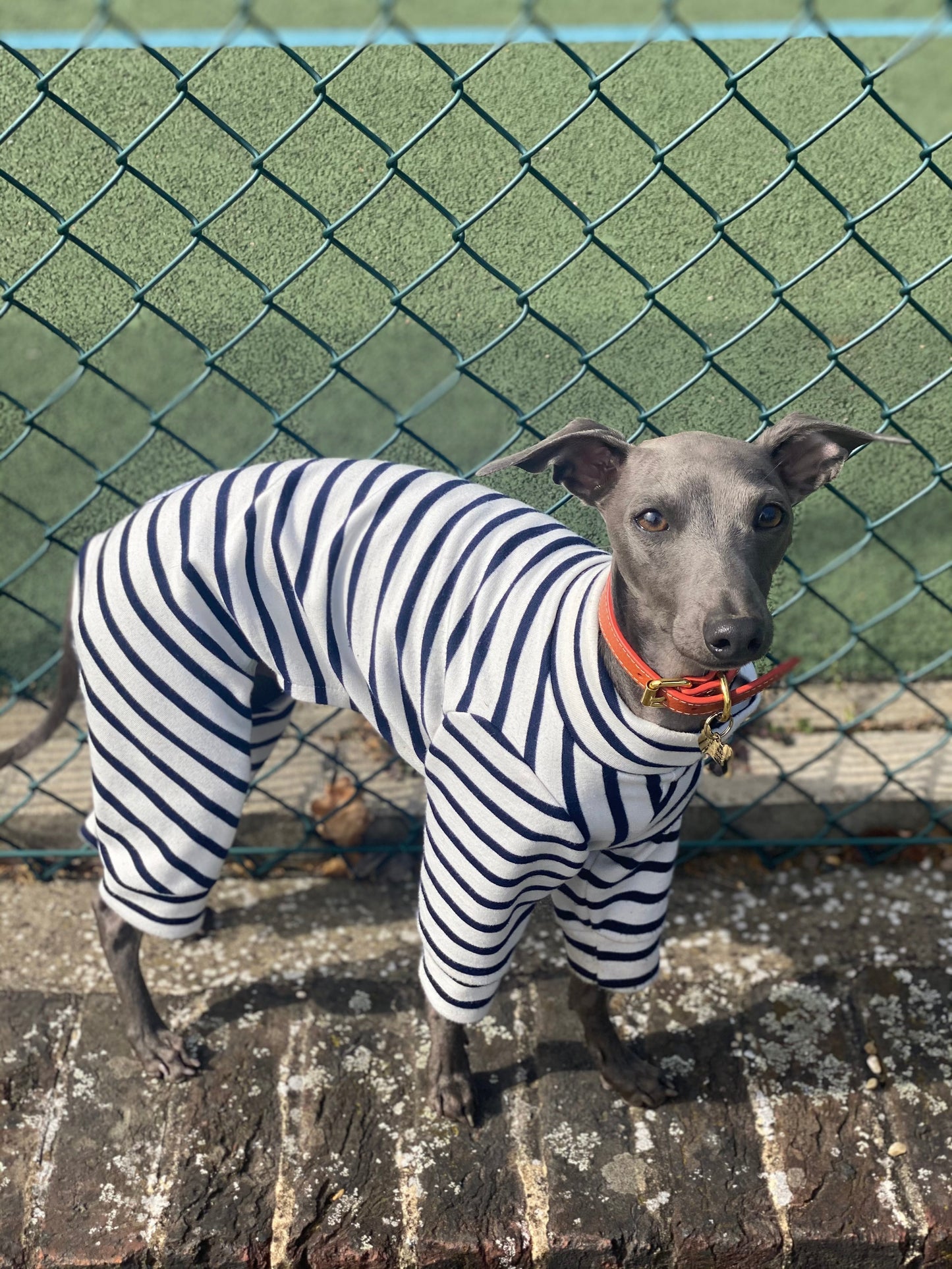 Classic Breton Jersey