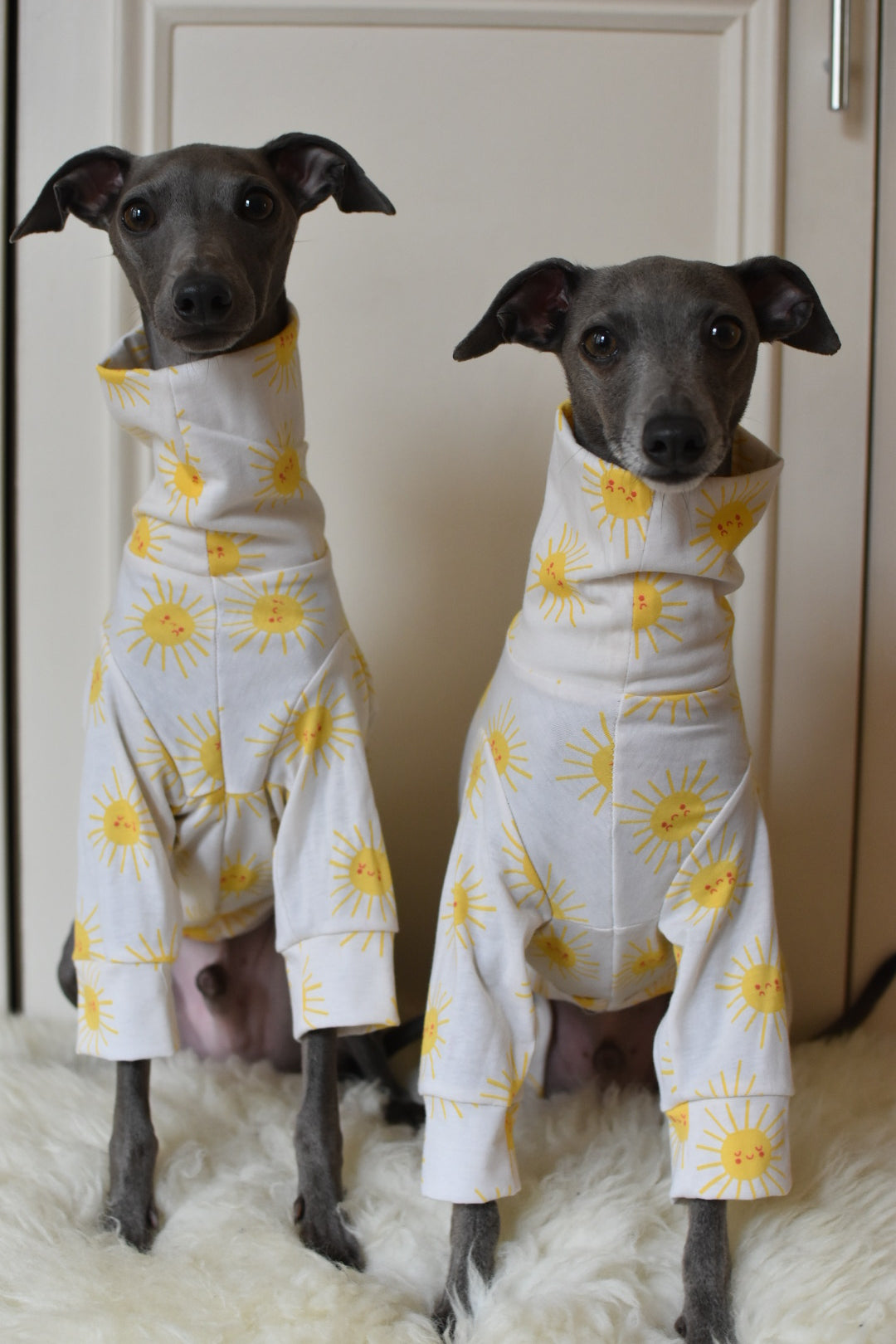 Sunshine Cotton Jersey