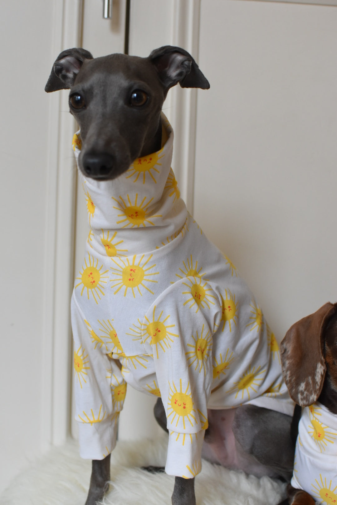 Sunshine Cotton Jersey