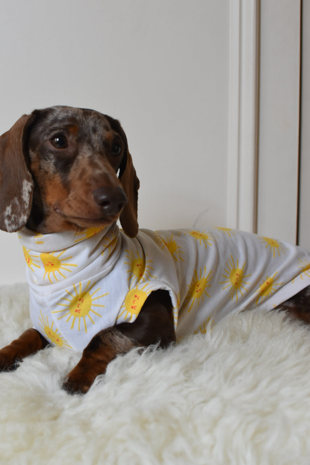 Sunshine Cotton Jersey