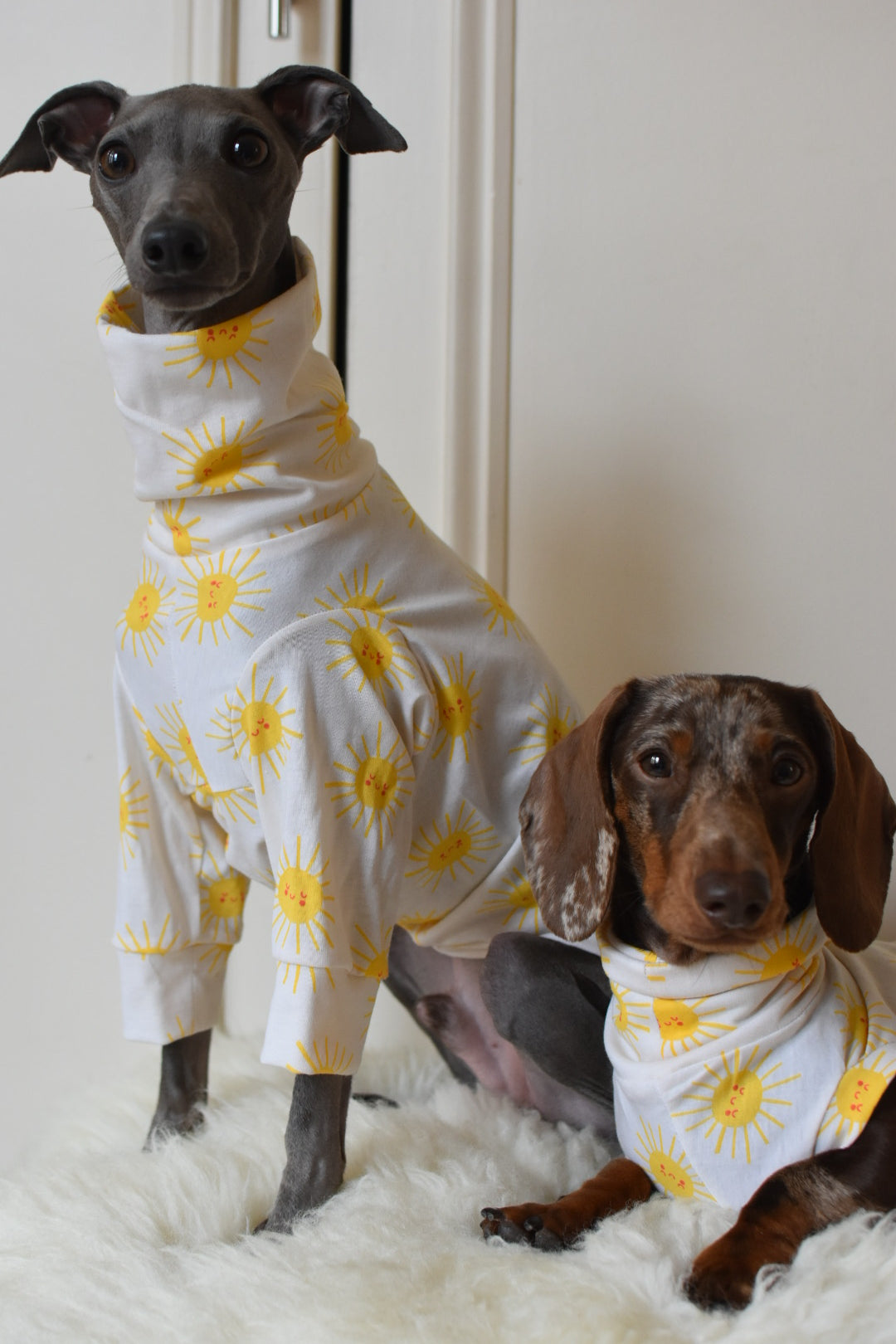 Sunshine Cotton Jersey