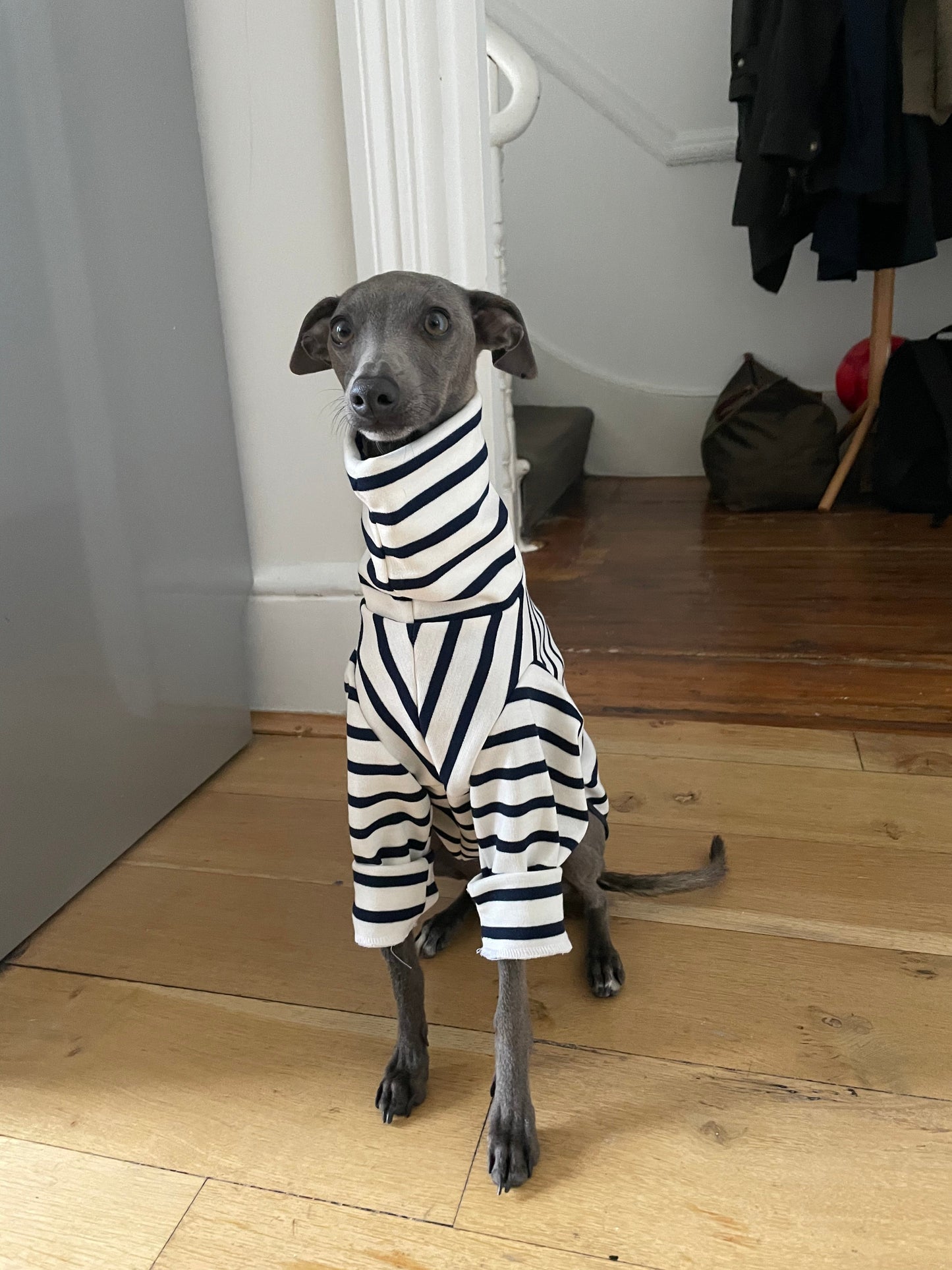 Classic Breton Jersey