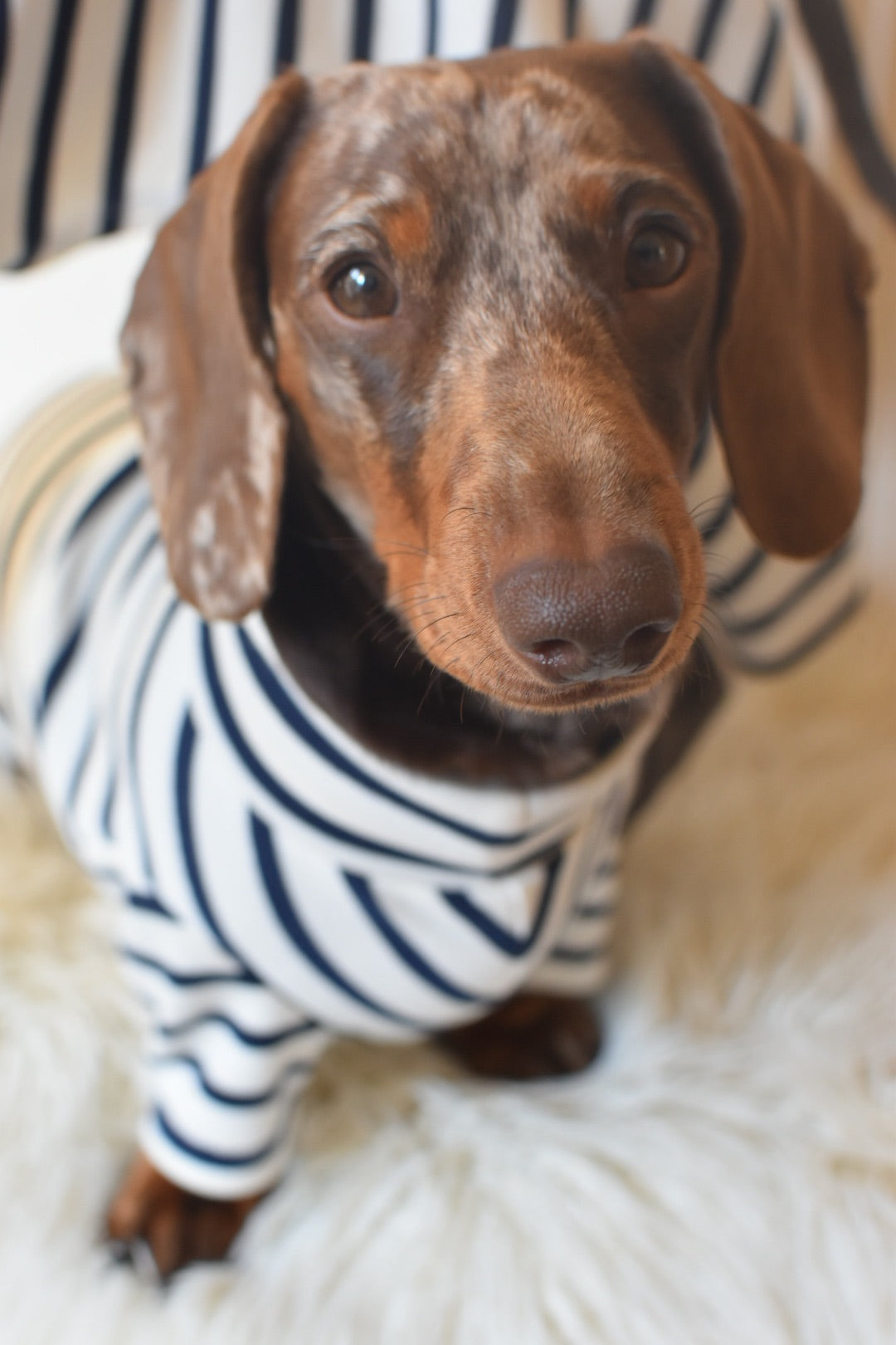 Classic Breton Jersey
