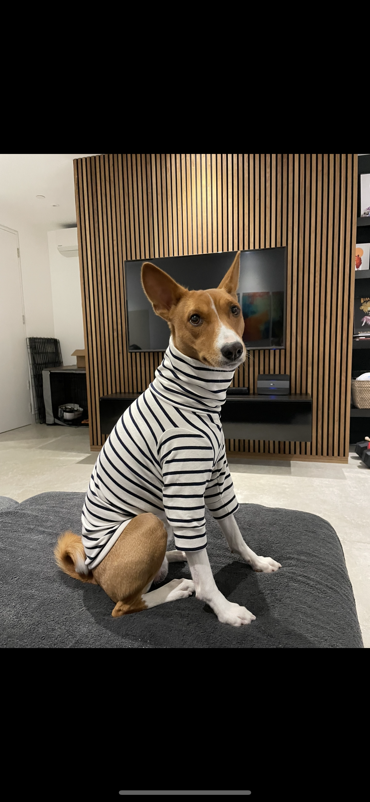 Classic Breton Jersey