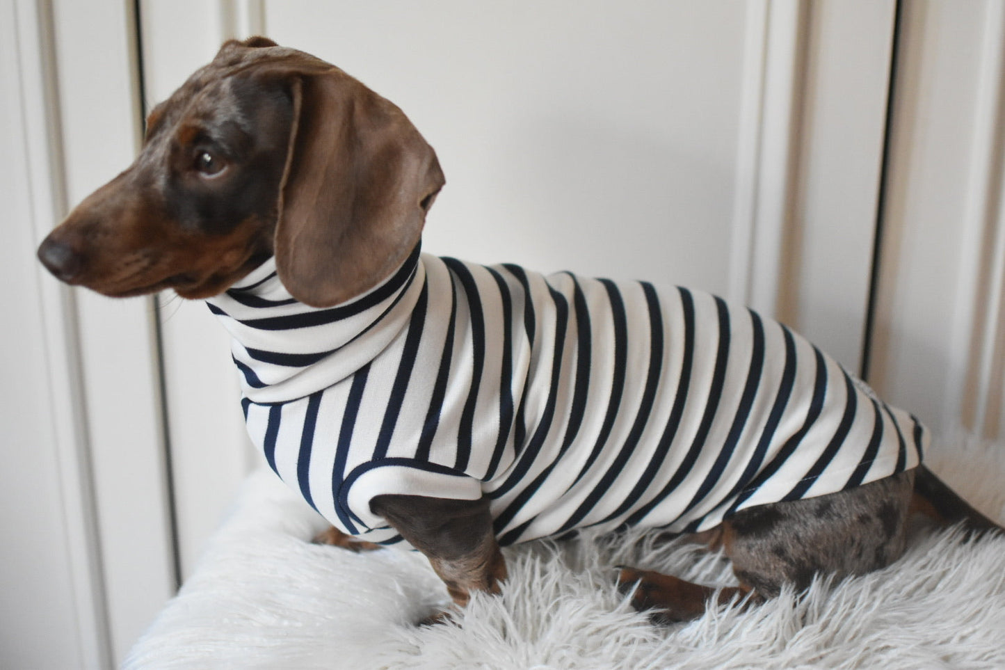 Classic Breton Jersey