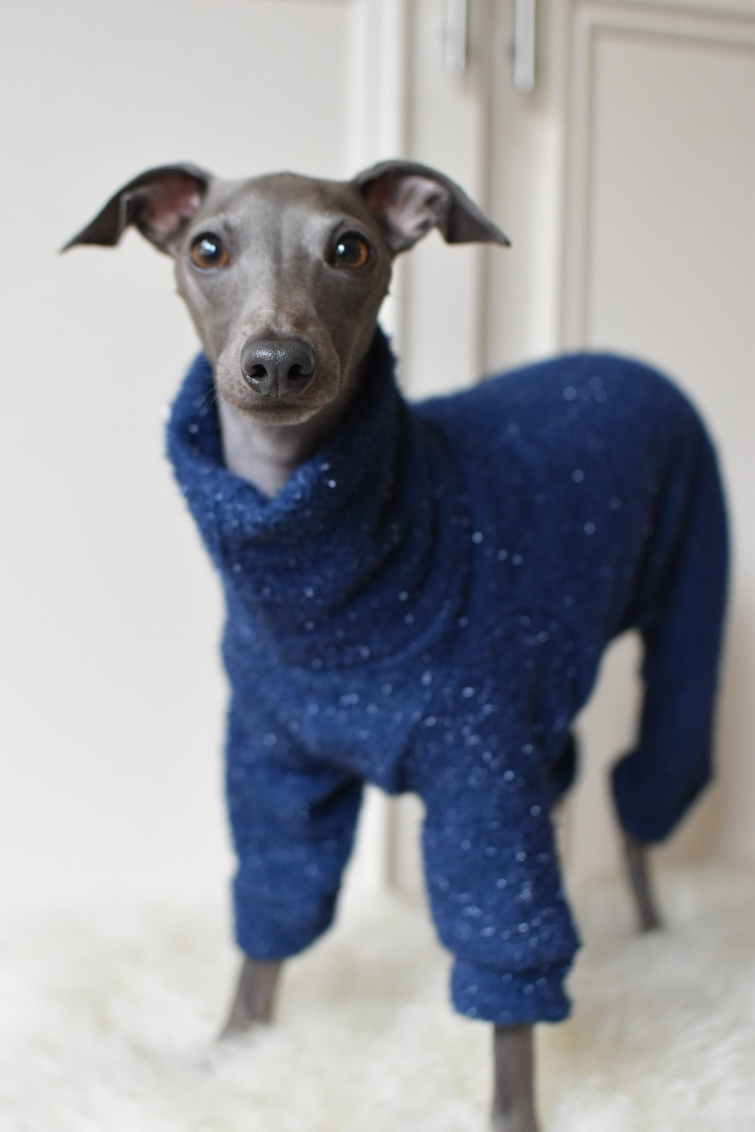 Christmas NY Sparkles