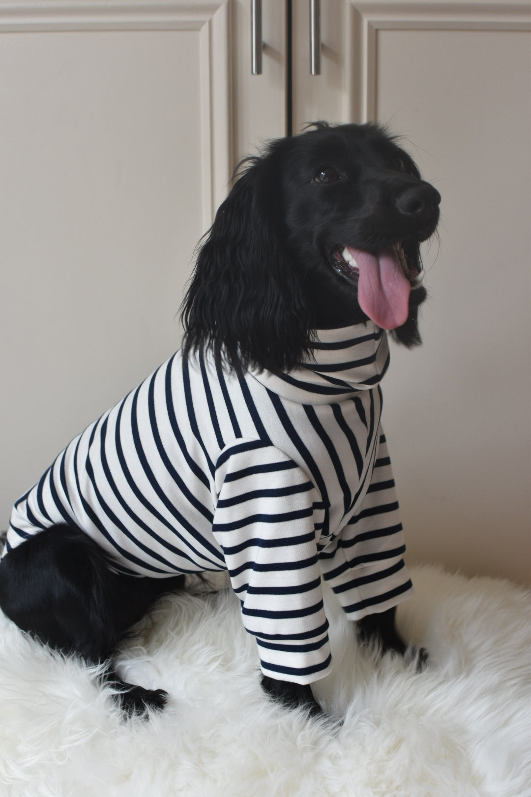 Classic Breton Jersey