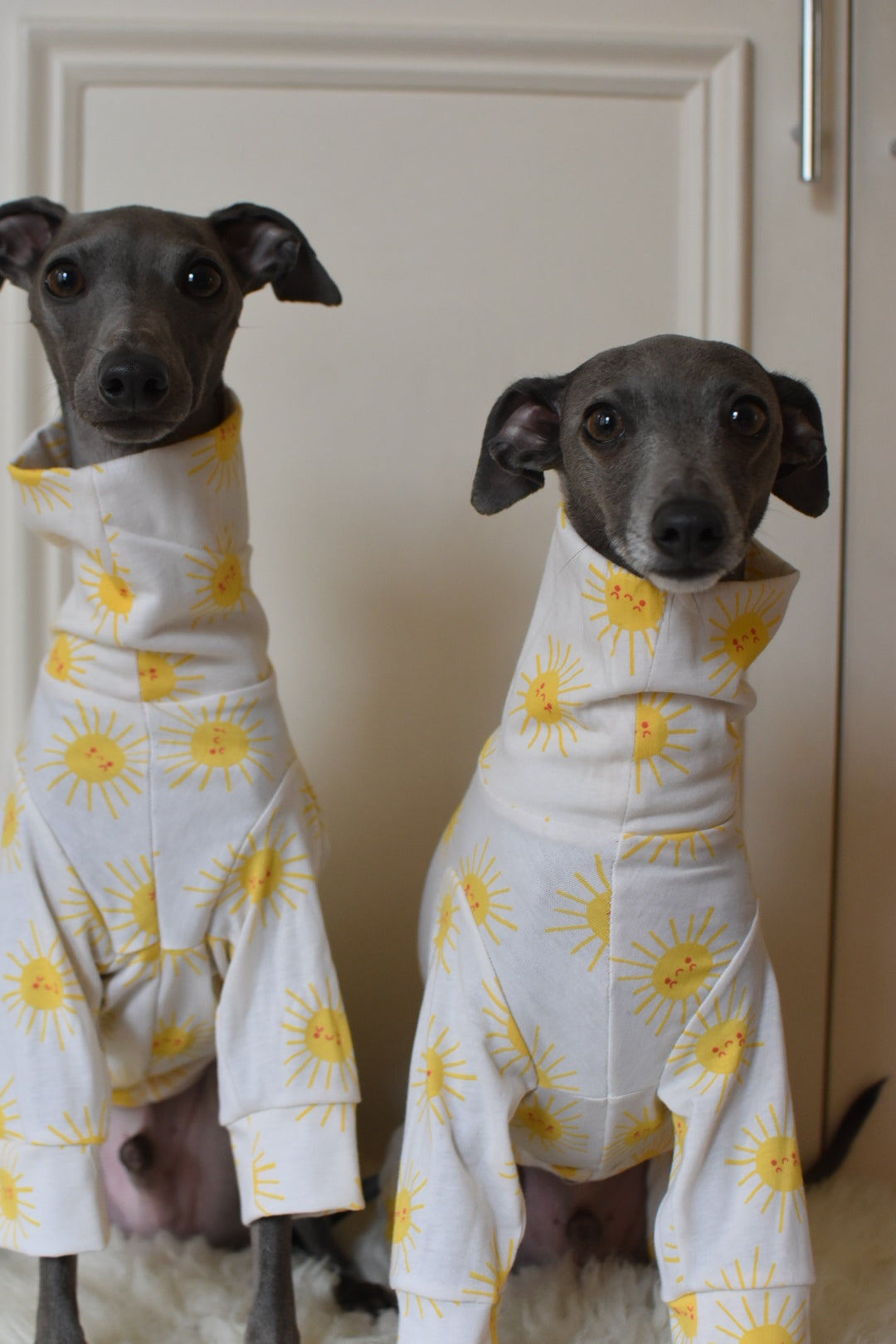 Sunshine Cotton Jersey