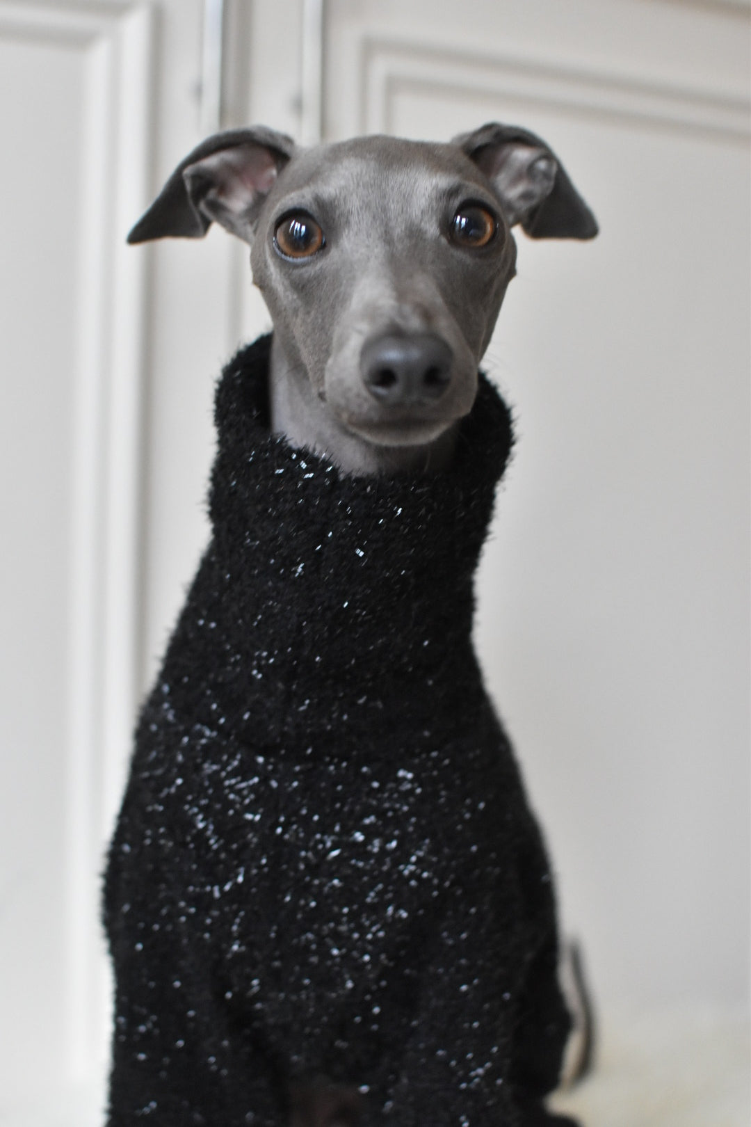 Christmas NY Sparkles