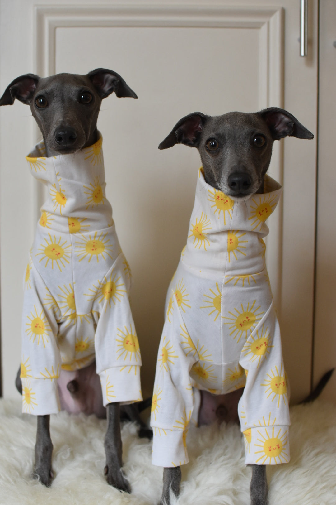 Sunshine Cotton Jersey