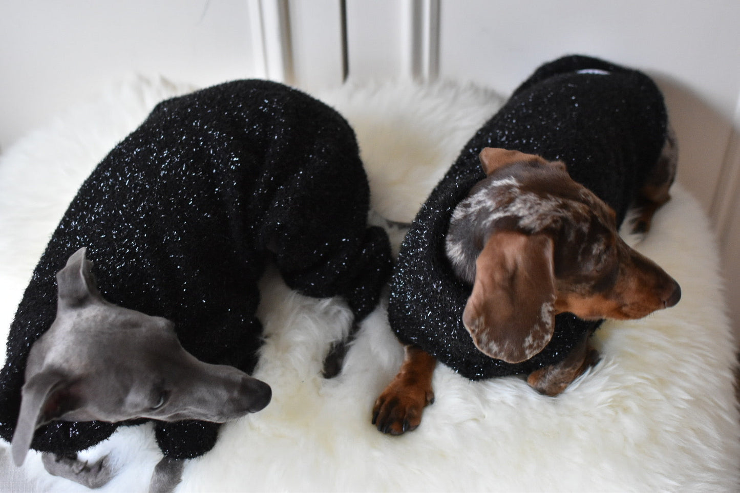 Christmas NY Sparkles