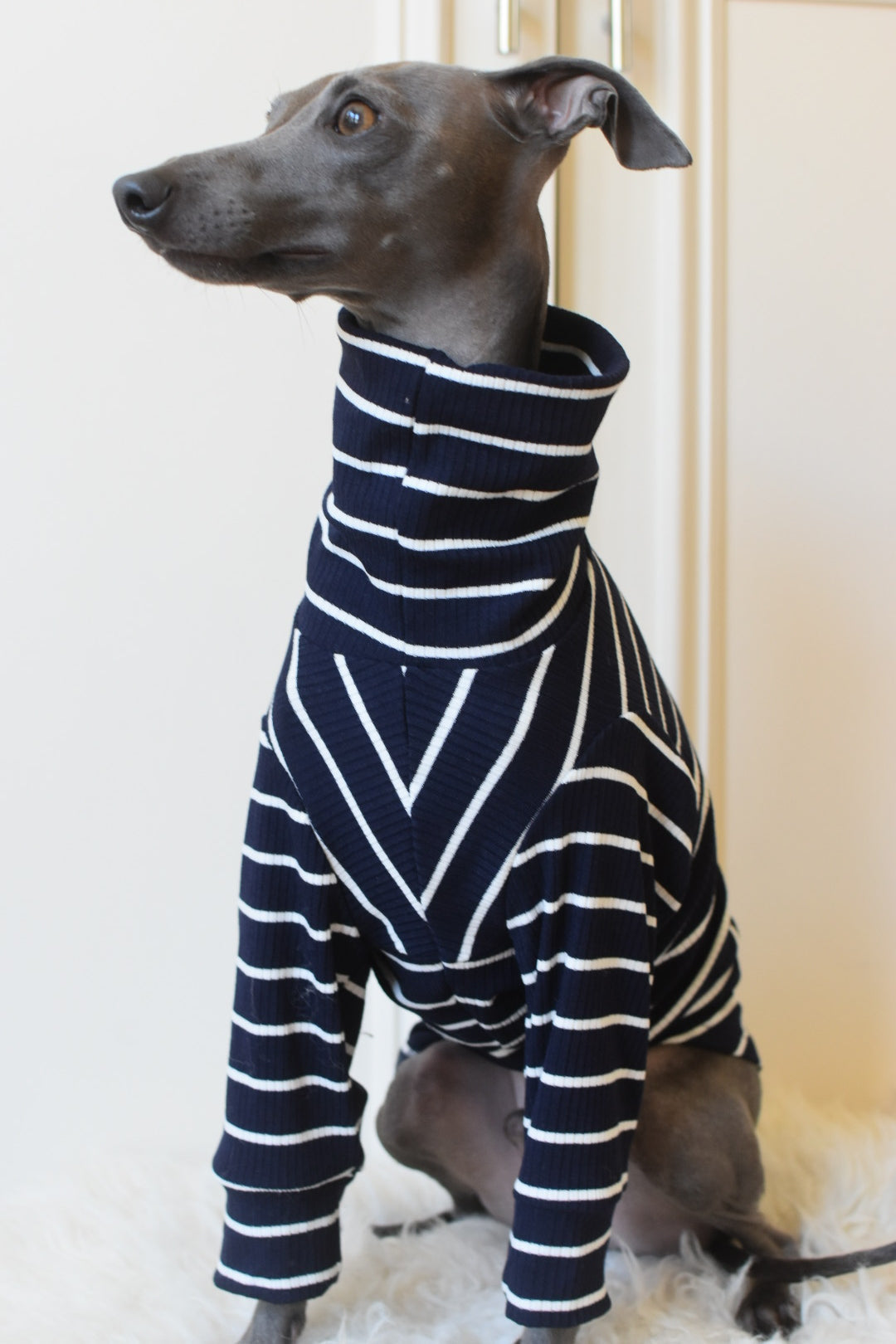 Oh La La Navy Stripe Jersey