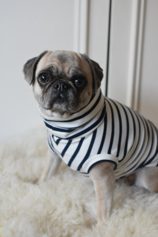 Classic Breton Jersey