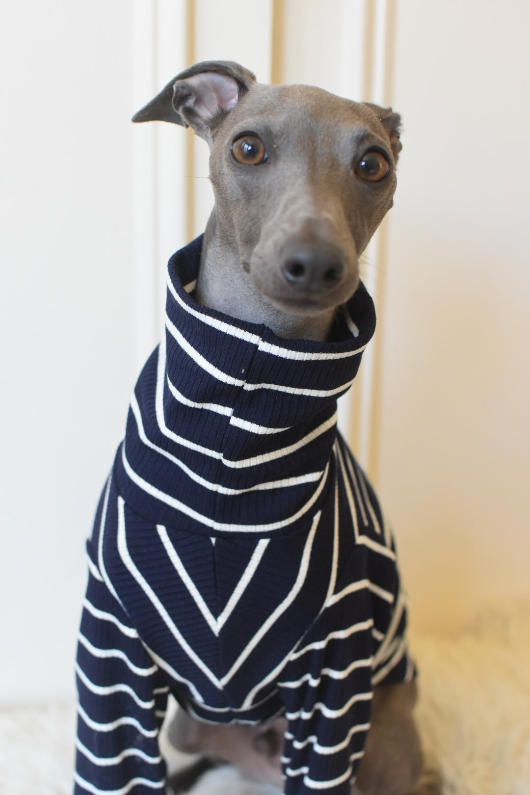 Oh La La Navy Stripe Jersey