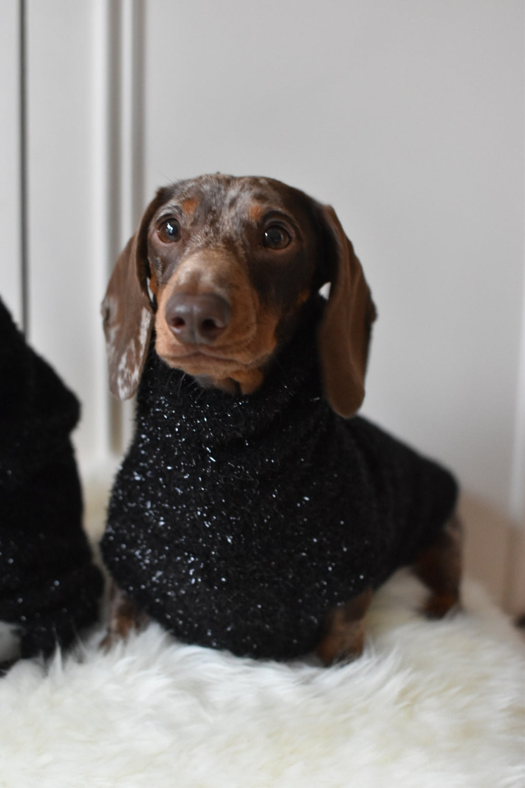 Christmas NY Sparkles