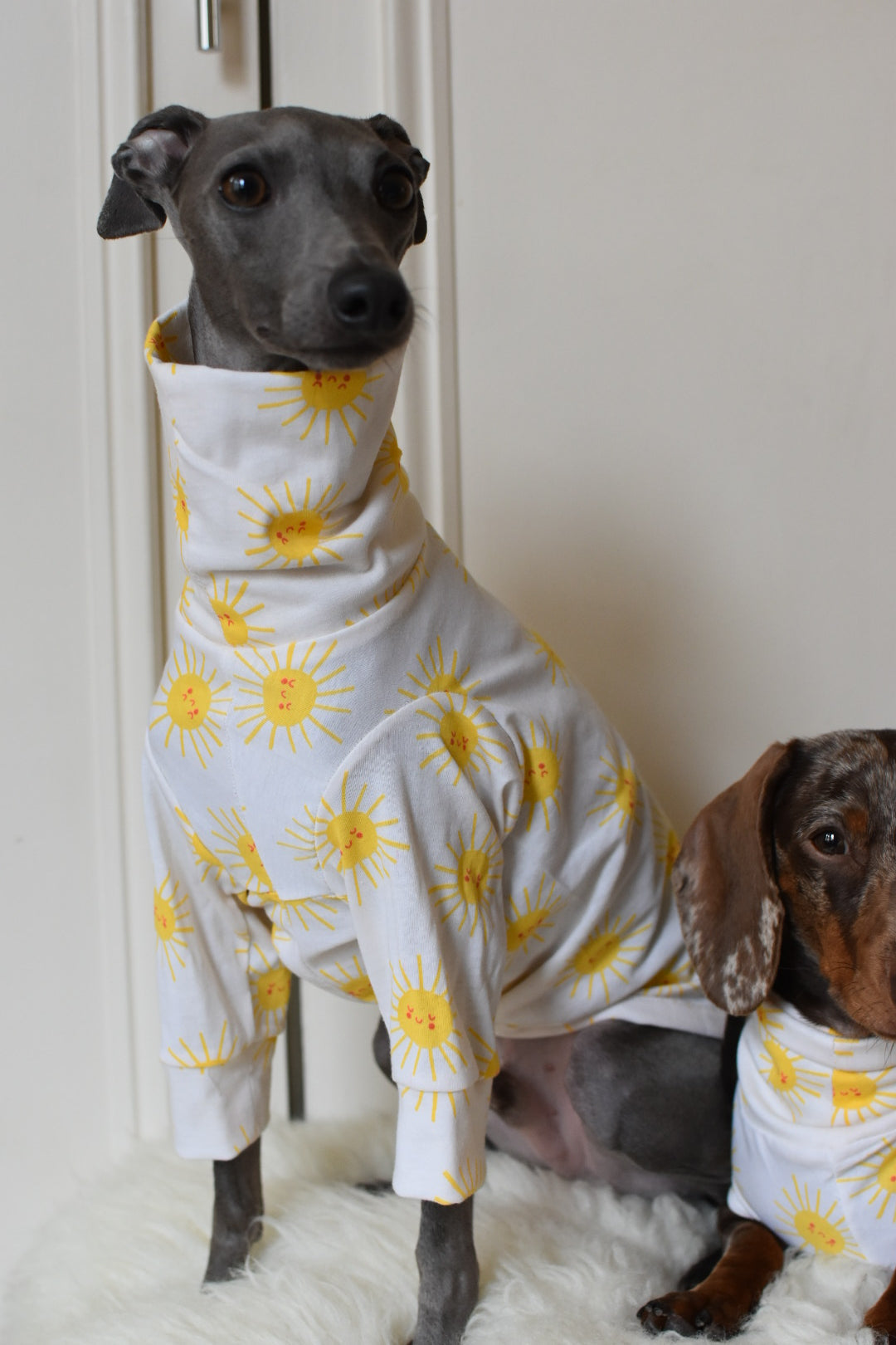 Sunshine Cotton Jersey