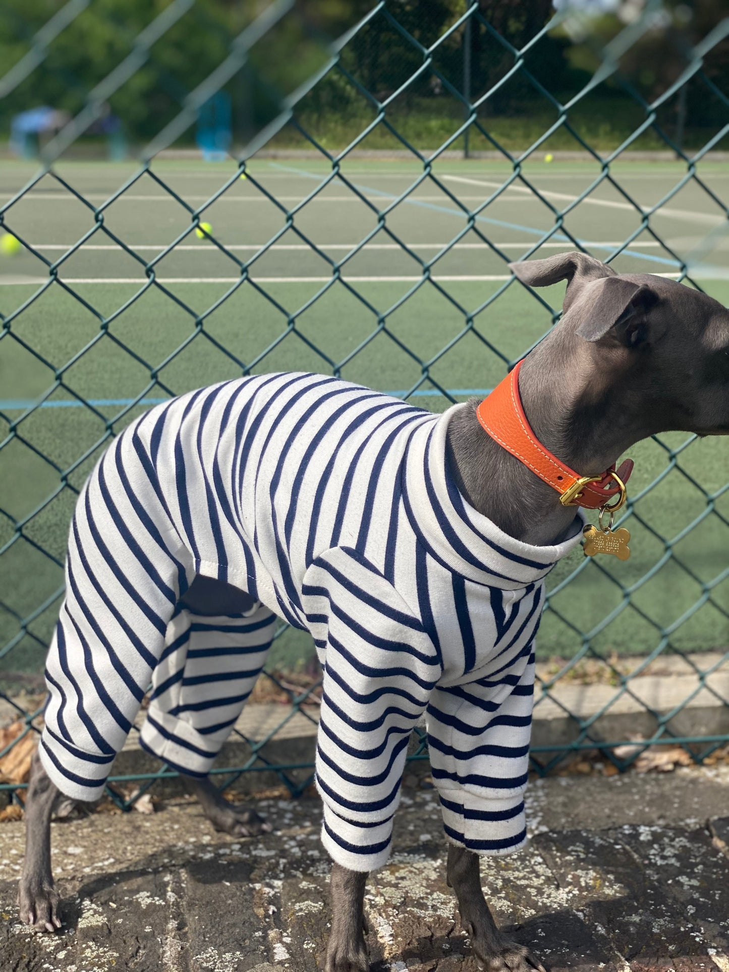 Classic Breton Jersey