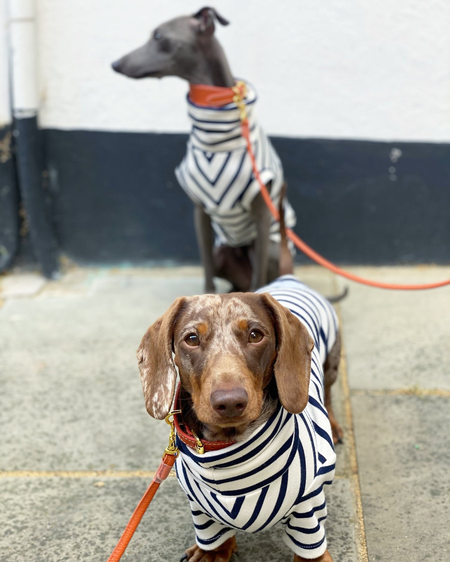 Classic Breton Jersey