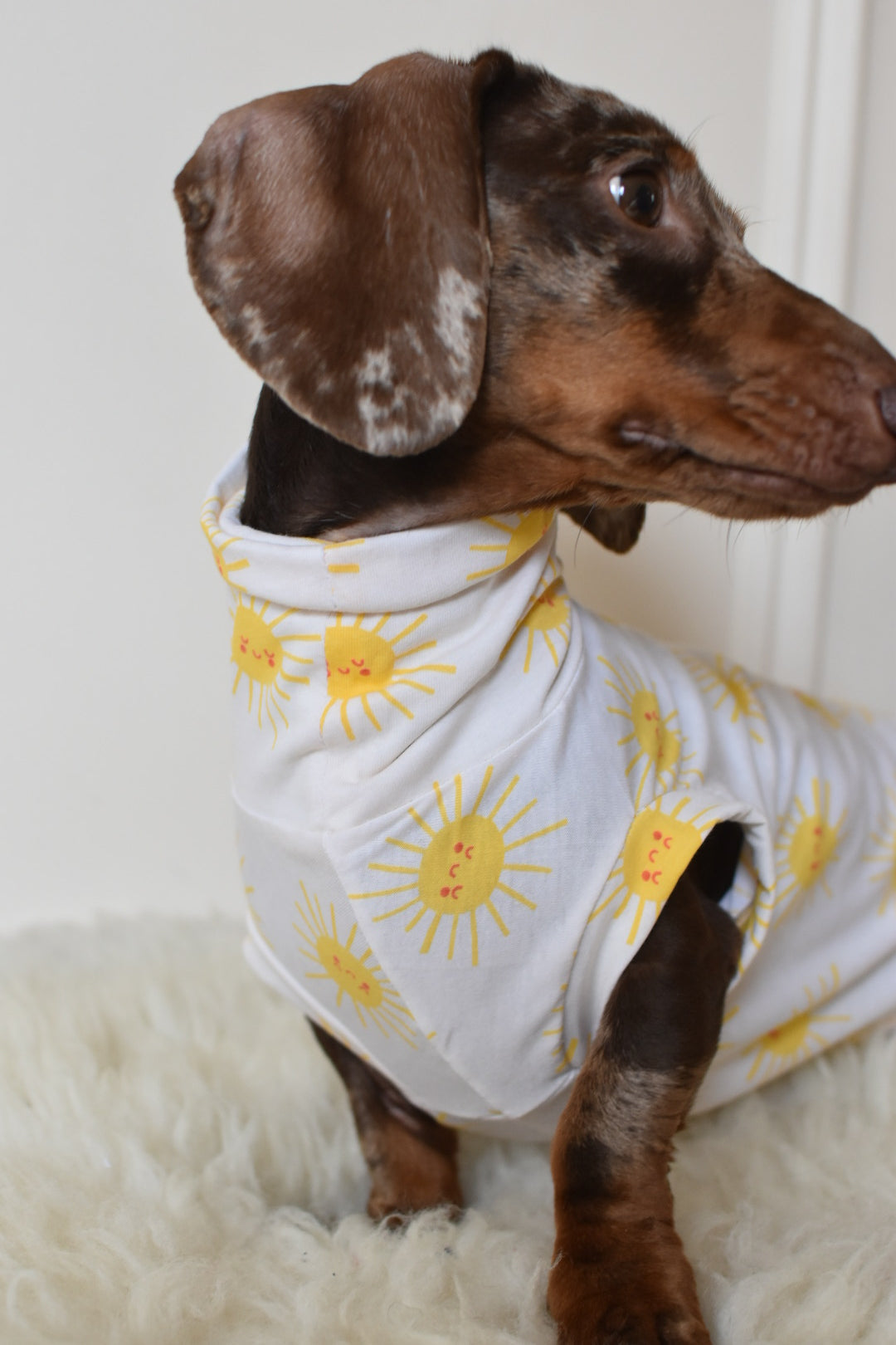 Sunshine Cotton Jersey