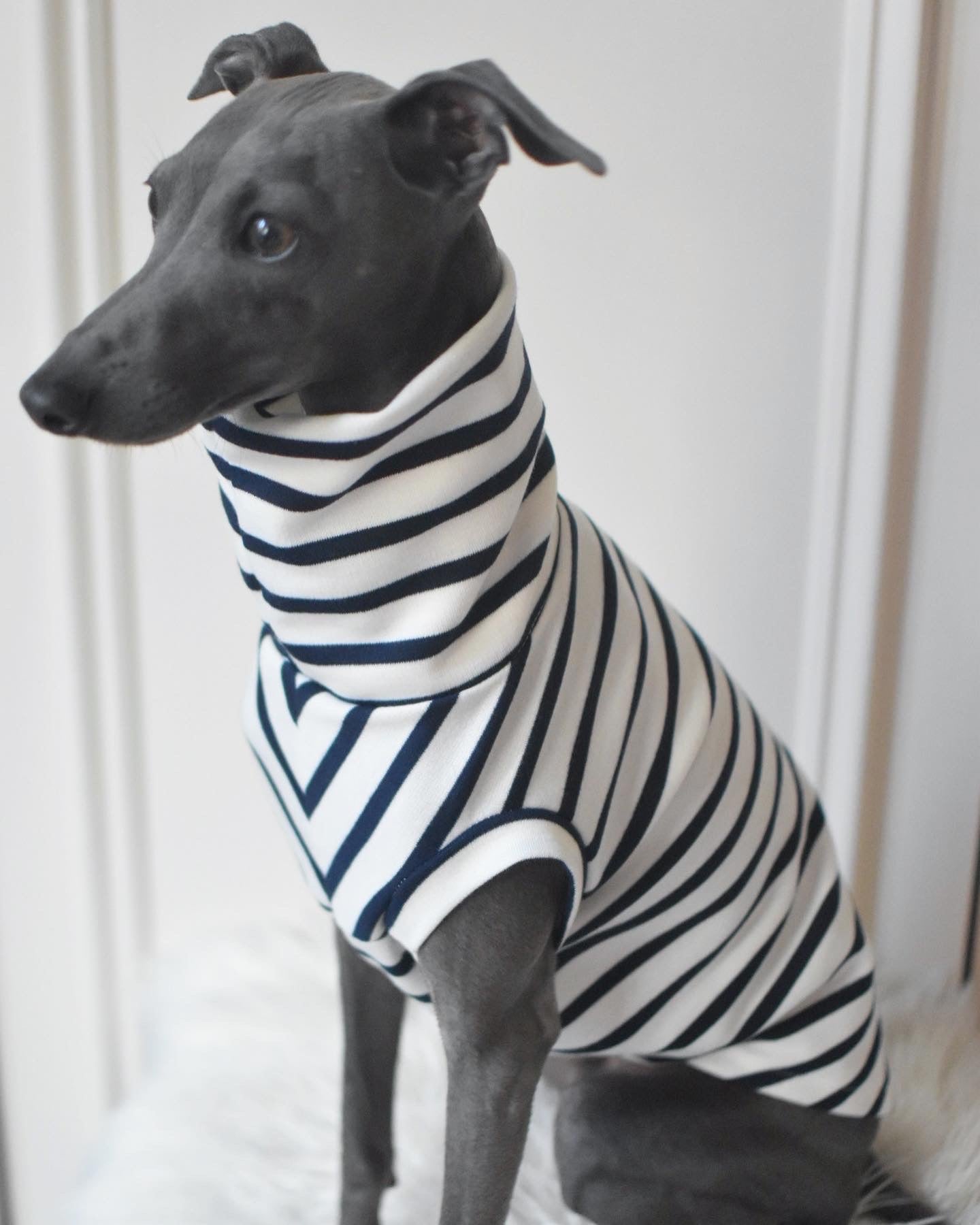 Classic Breton Jersey