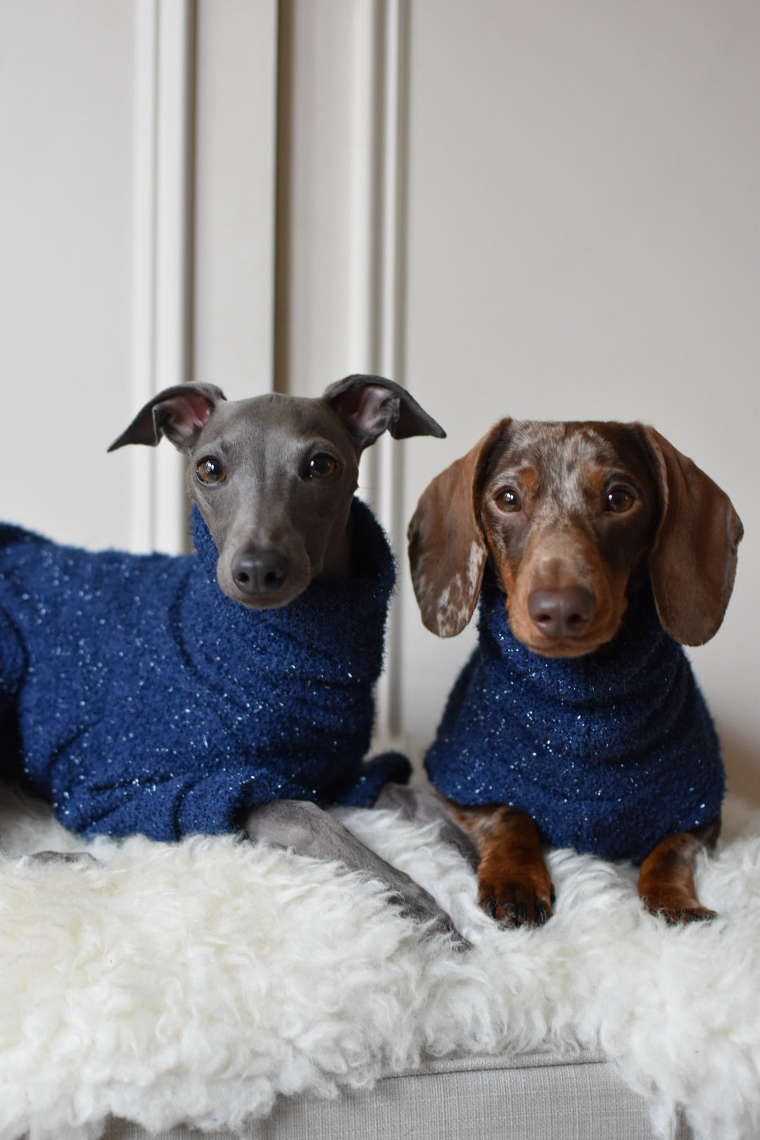 Christmas NY Sparkles