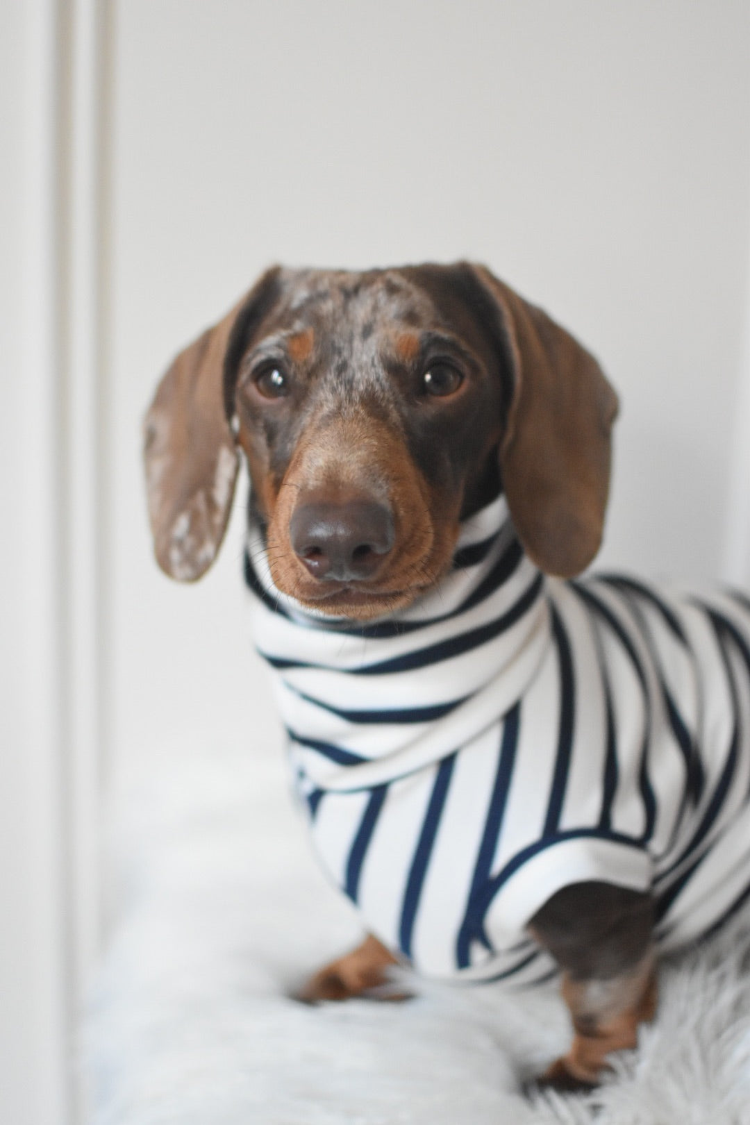 Classic Breton Jersey