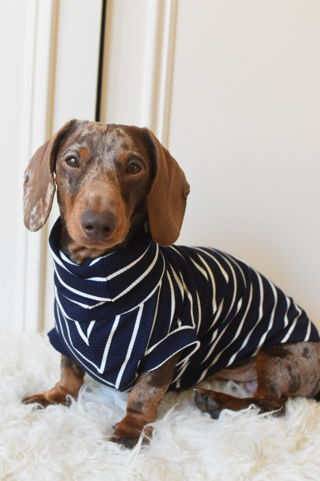 Oh La La Navy Stripe Jersey