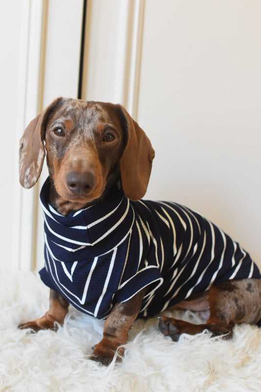 Oh La La Navy Stripe Jersey
