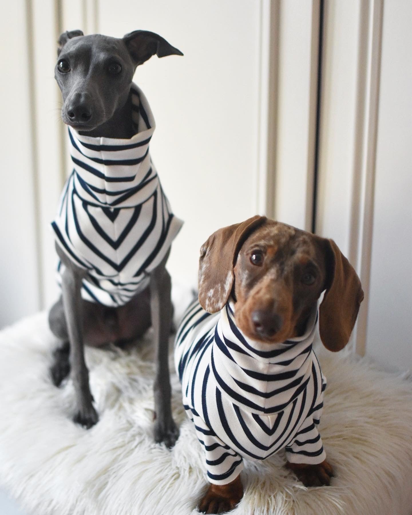 Classic Breton Jersey