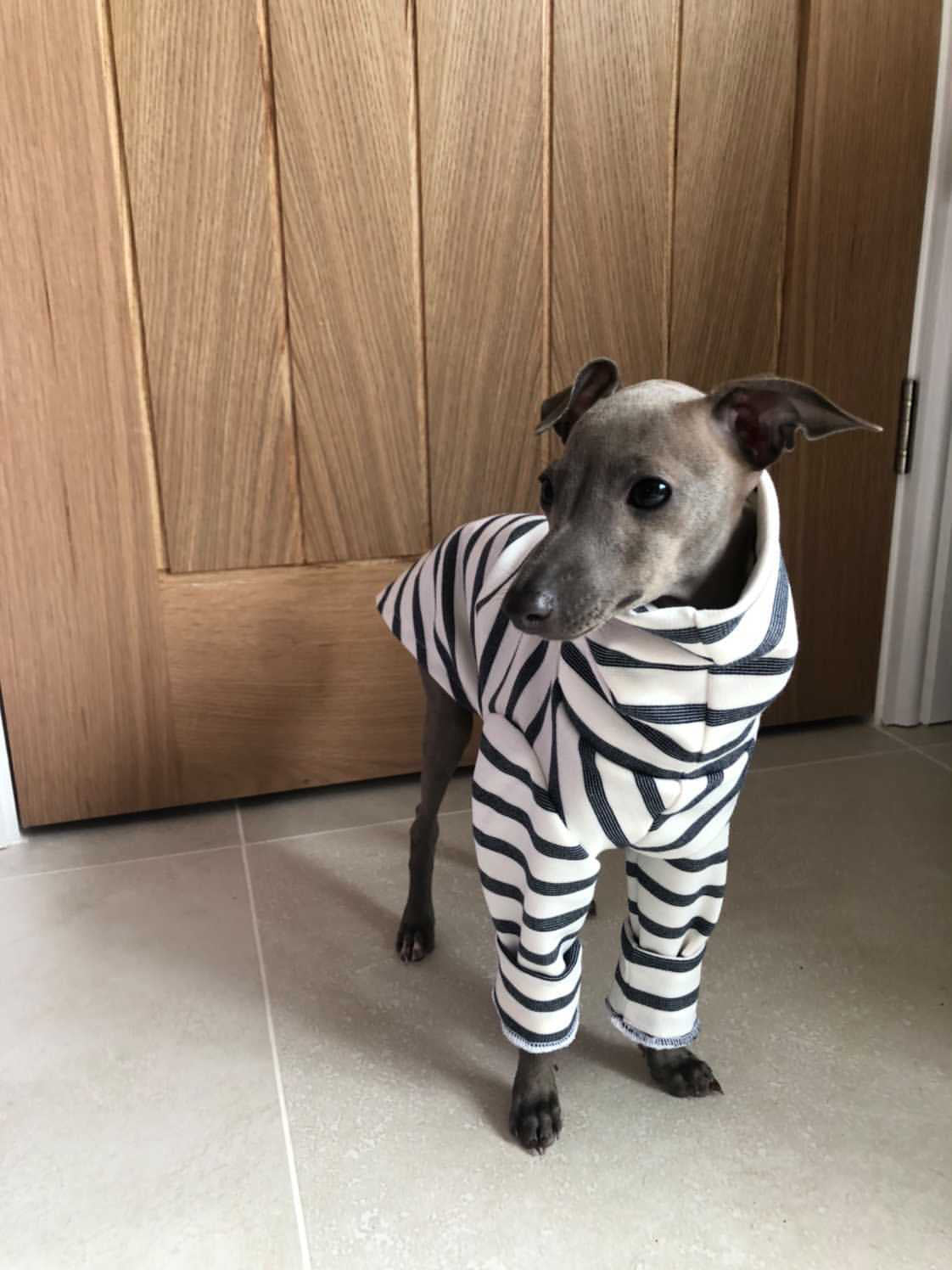 Classic Breton Jersey