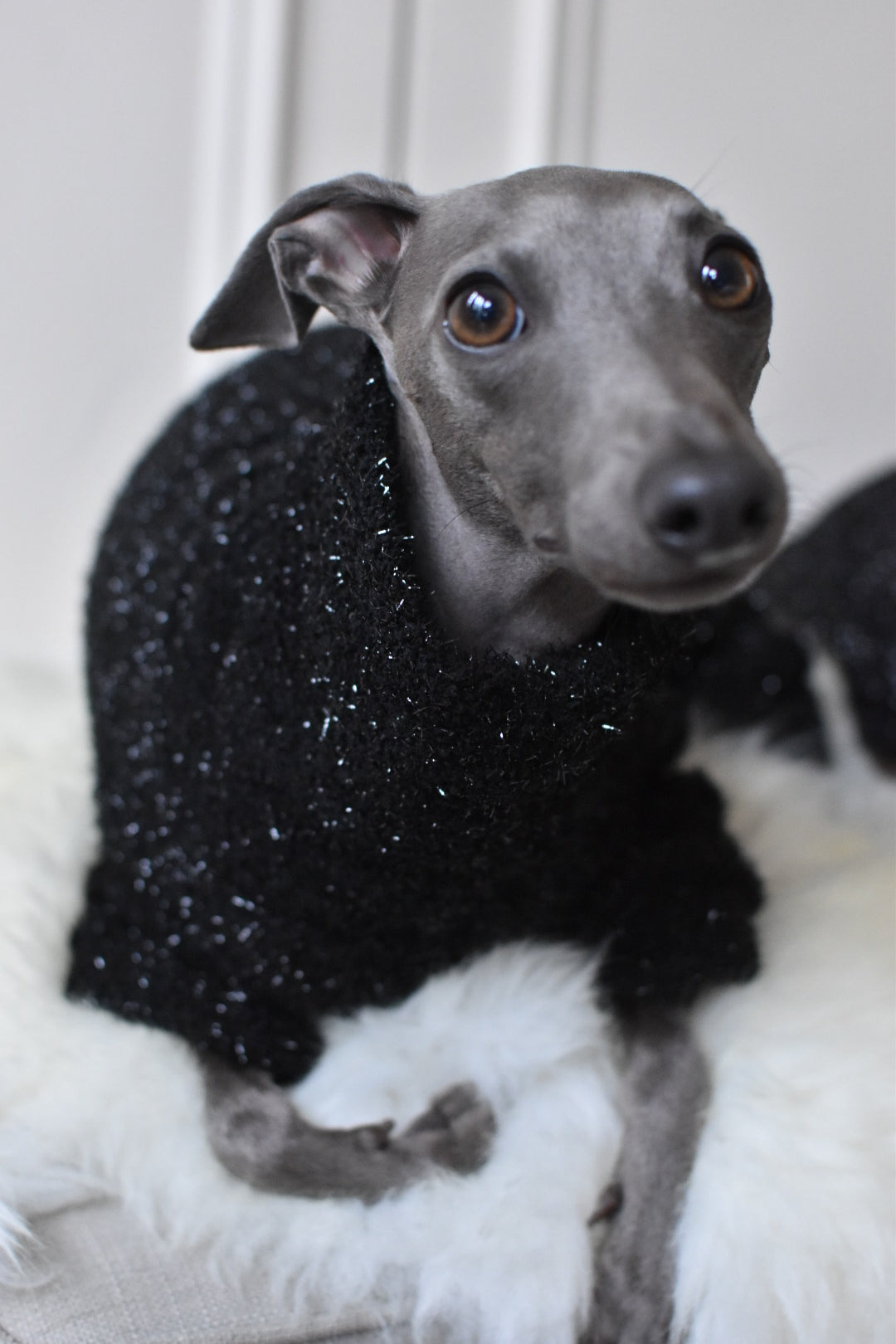 Christmas NY Sparkles