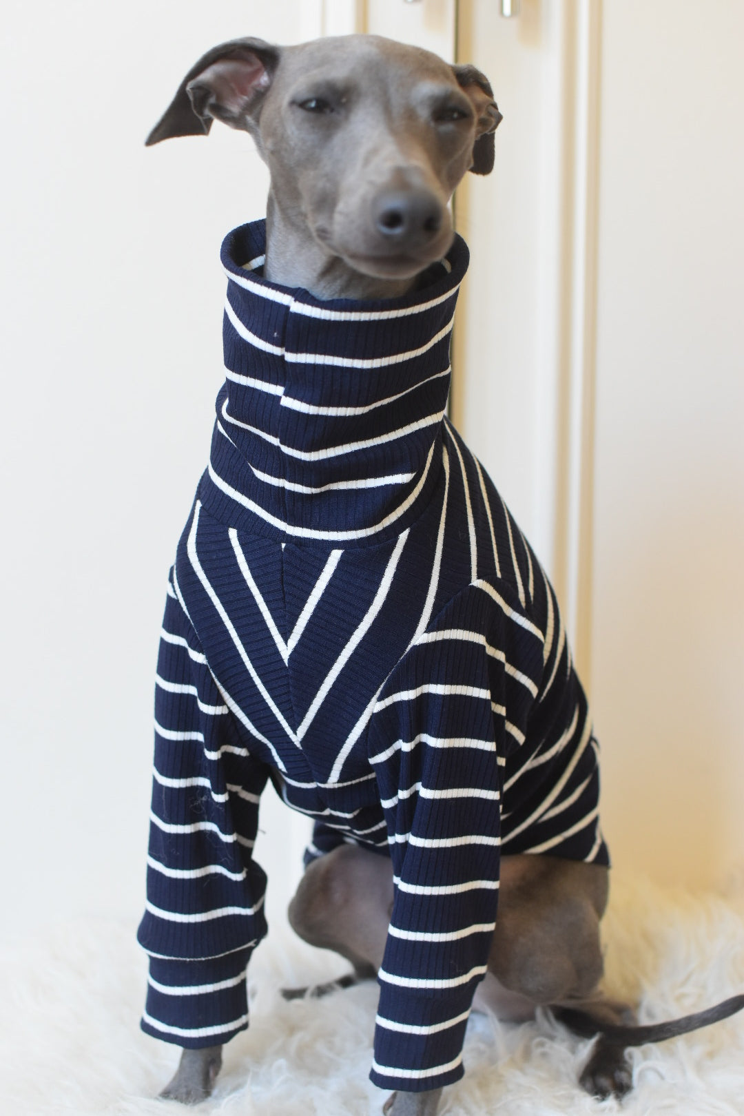 Oh La La Navy Stripe Jersey